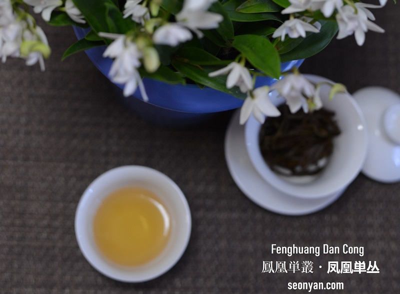 鳳凰単叢 | 茶の穂 香木と本気の茶