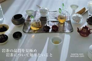 岩茶について知りたいこと　表紙