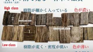 伽羅の全貌 沈香との違い | 茶の穂